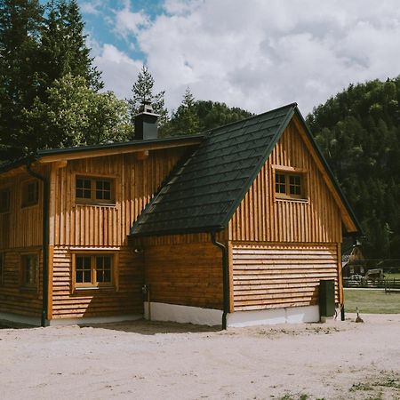 Naturparkresort S'Keuscherl Wildalpen Buitenkant foto